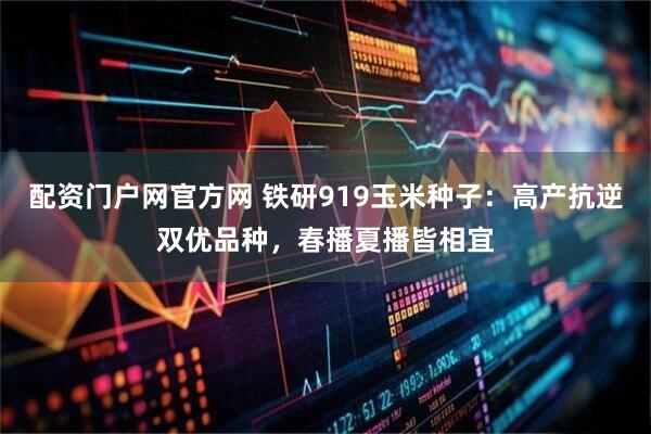 配资门户网官方网 铁研919玉米种子：高产抗逆双优品种，春播夏播皆相宜